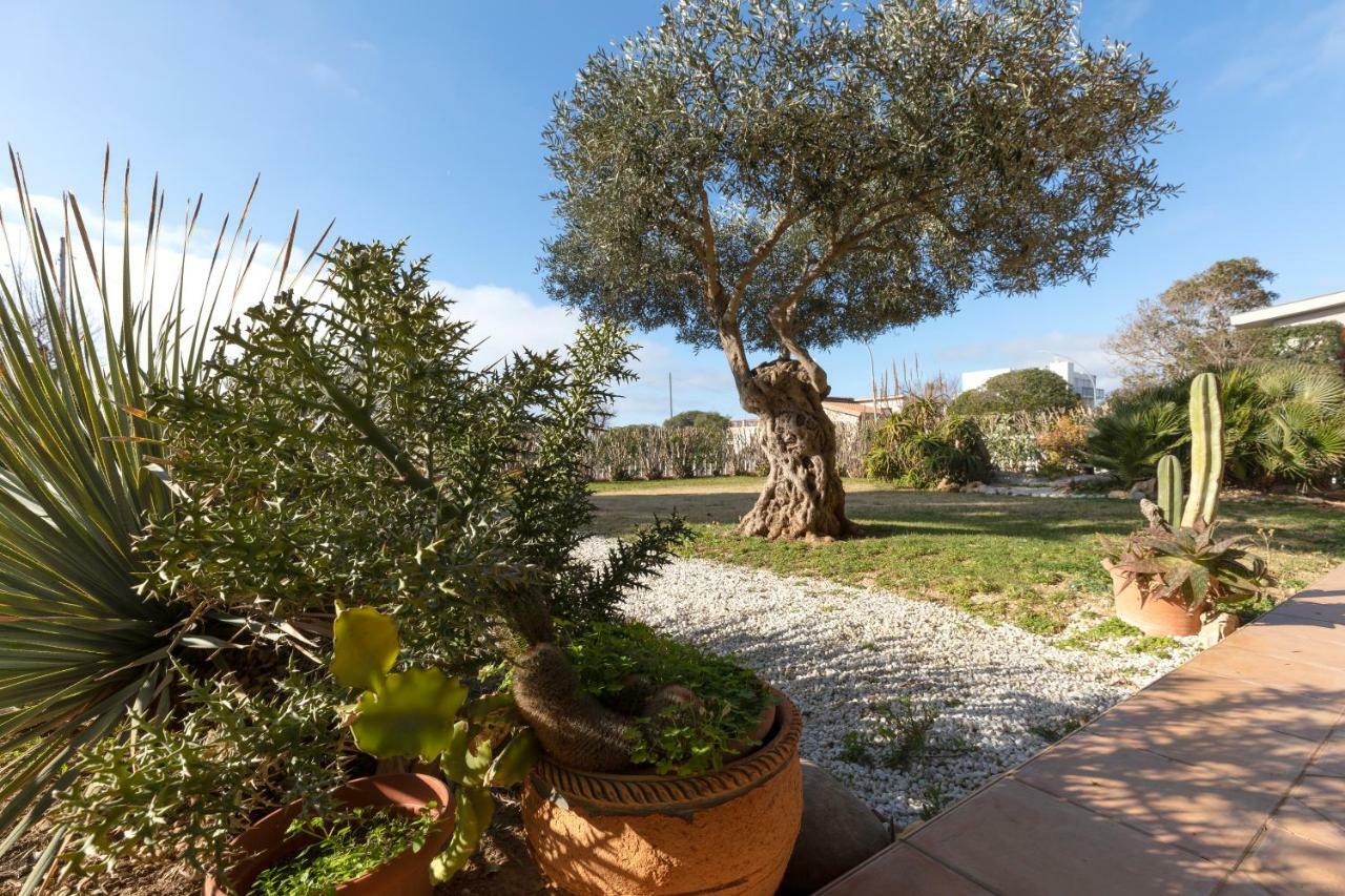 פרטיליה Villa Arrecifes מראה חיצוני תמונה